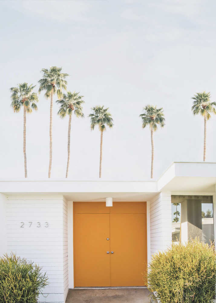 Yellow door palms poster with a mid-century house with a yellow double door and palm trees